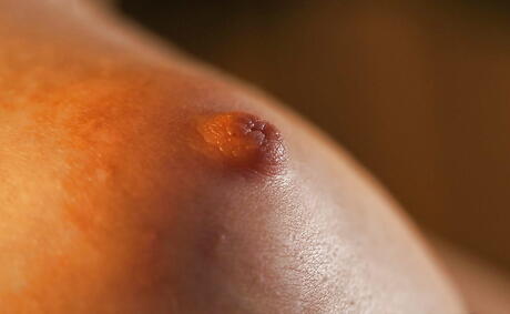 Inviting american blond Liz Ashley exhibits big hooters and cute pussy 